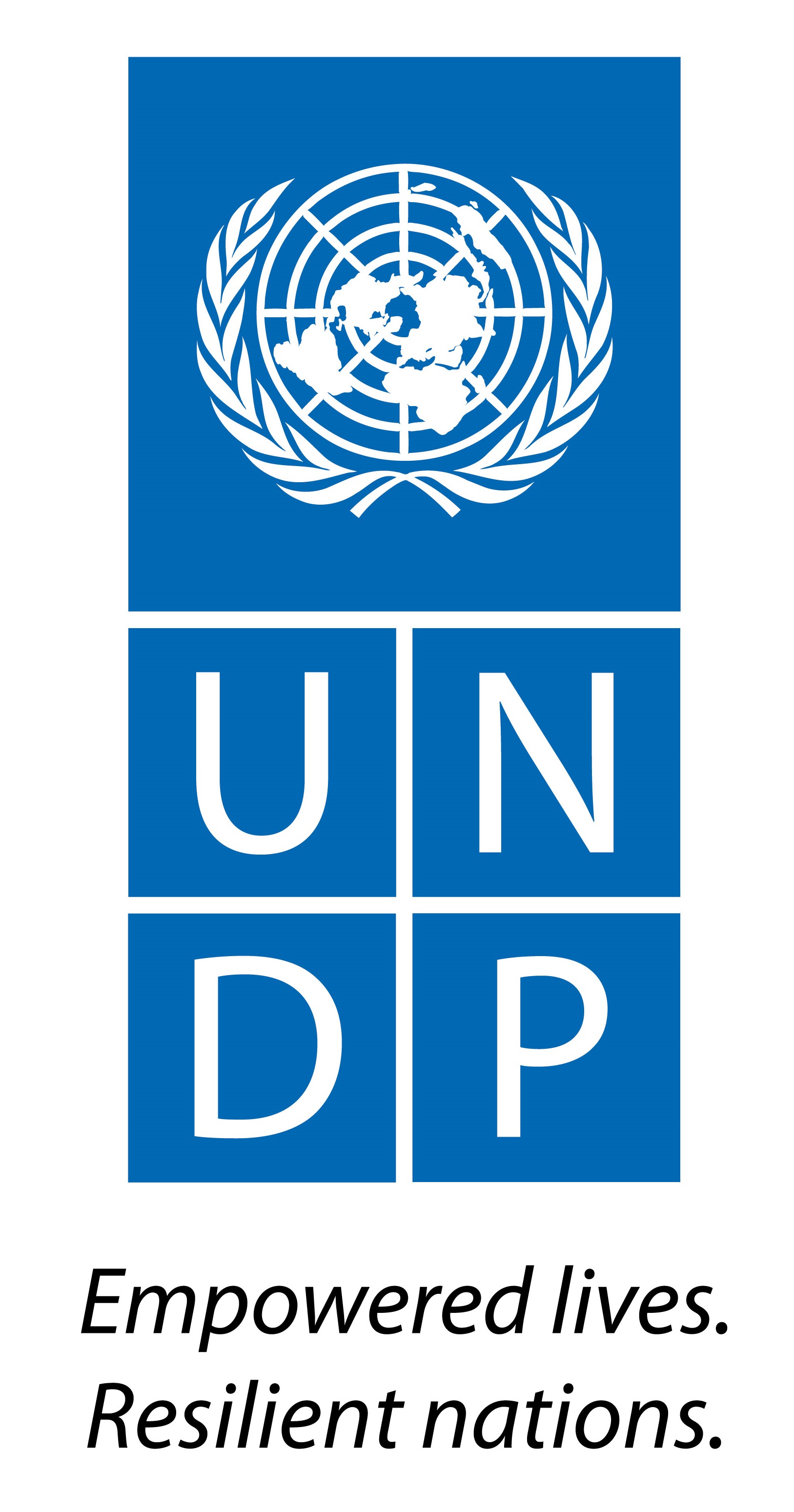 Программа Развития ООН (ПРООН)