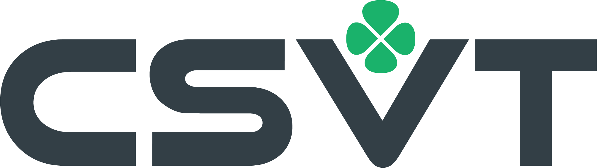 CSVT CSVT